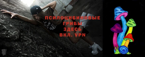 дмт Верея