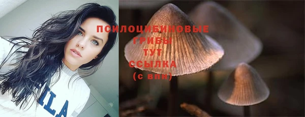 прущие грибы Верхнеуральск