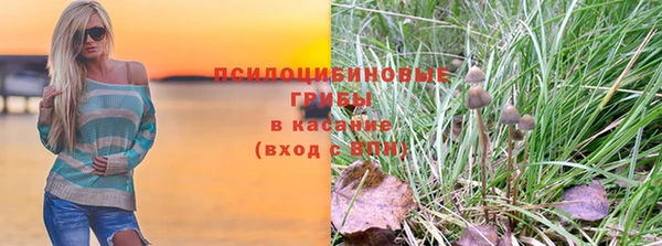 прущие грибы Верхнеуральск