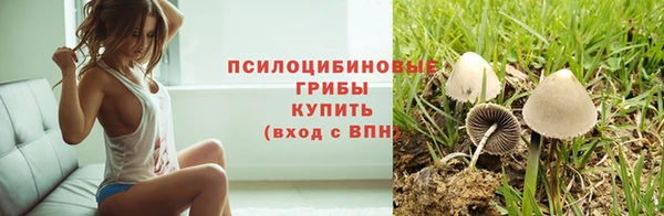 дмт Верея