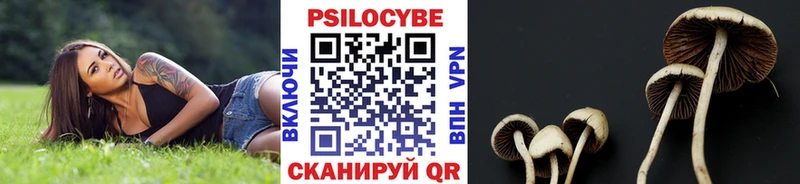 Купить закладки  Старая Русса  Псилоцибиновые грибы мухоморы 